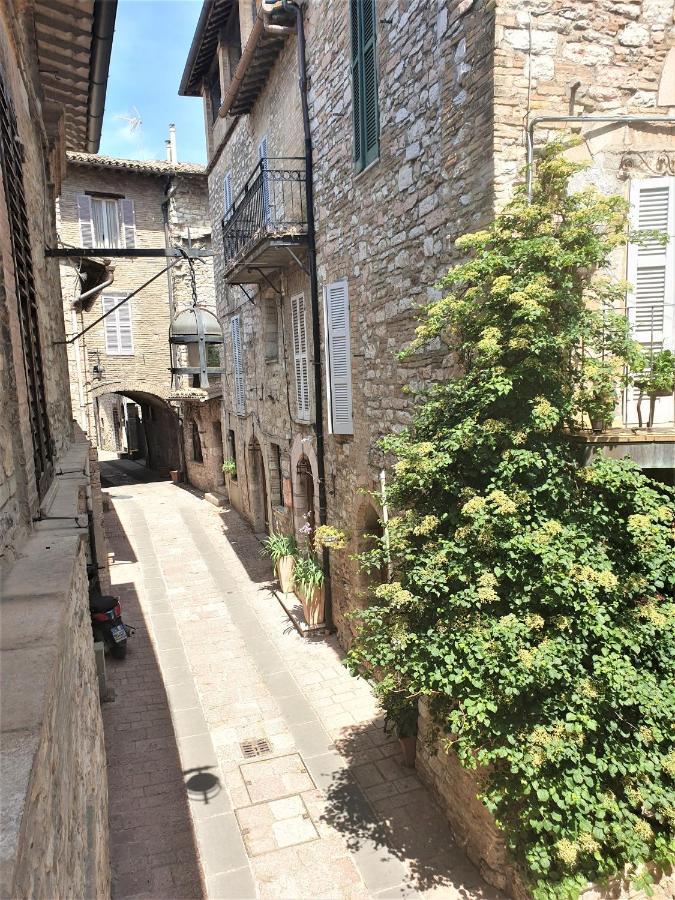 Palazzo Calocci Appartamenti In Assisi Eksteriør bilde