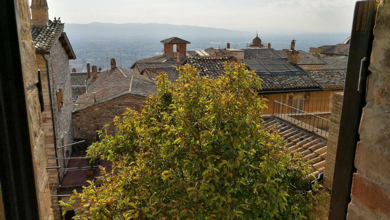 Palazzo Calocci Appartamenti In Assisi Eksteriør bilde