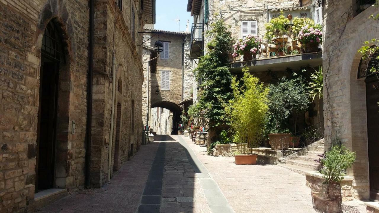 Palazzo Calocci Appartamenti In Assisi Eksteriør bilde