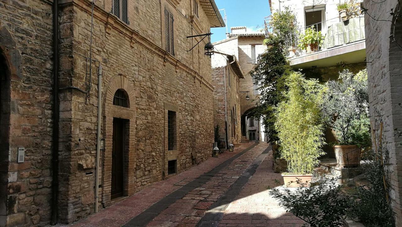 Palazzo Calocci Appartamenti In Assisi Eksteriør bilde