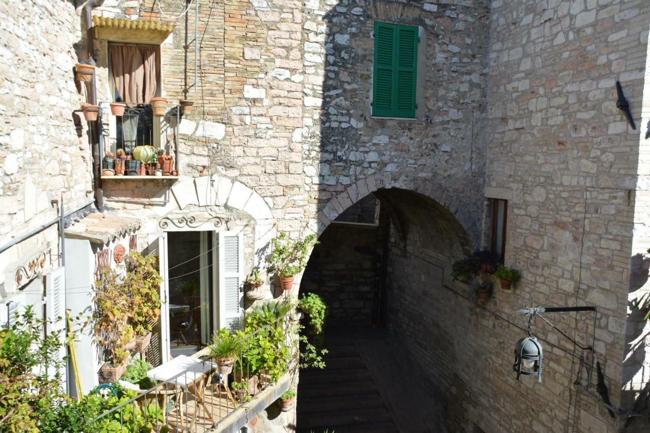 Palazzo Calocci Appartamenti In Assisi Eksteriør bilde