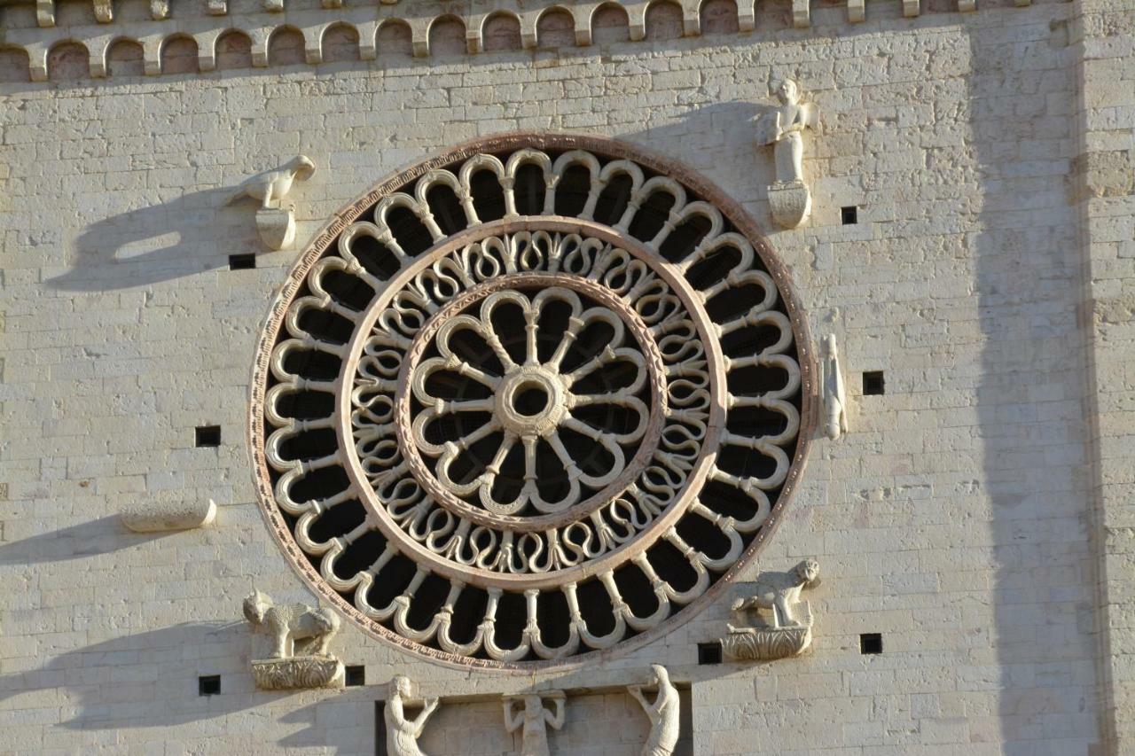 Palazzo Calocci Appartamenti In Assisi Eksteriør bilde